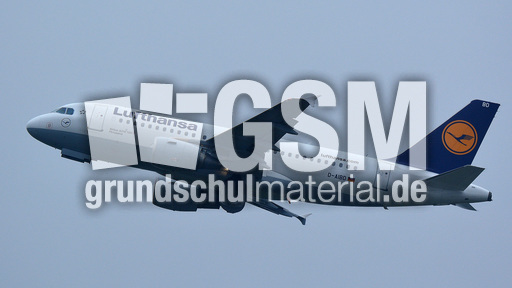 Airbus A319-100_1.jpg